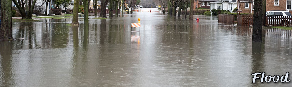 Flood