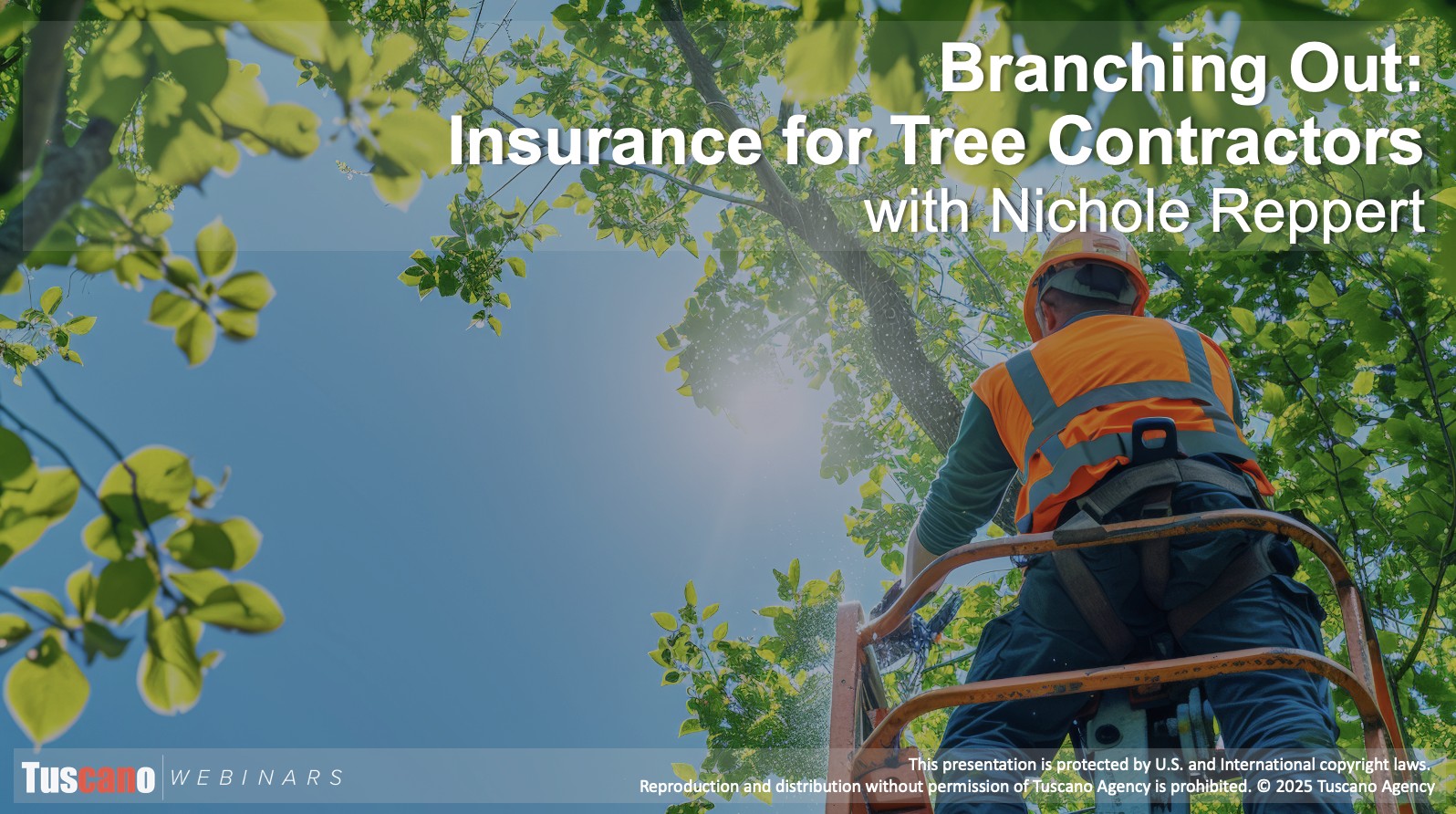 Branching Out: Insurance for Tree Contractors