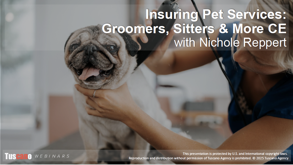 Insuring Pet Services: Groomers, Sitters & More